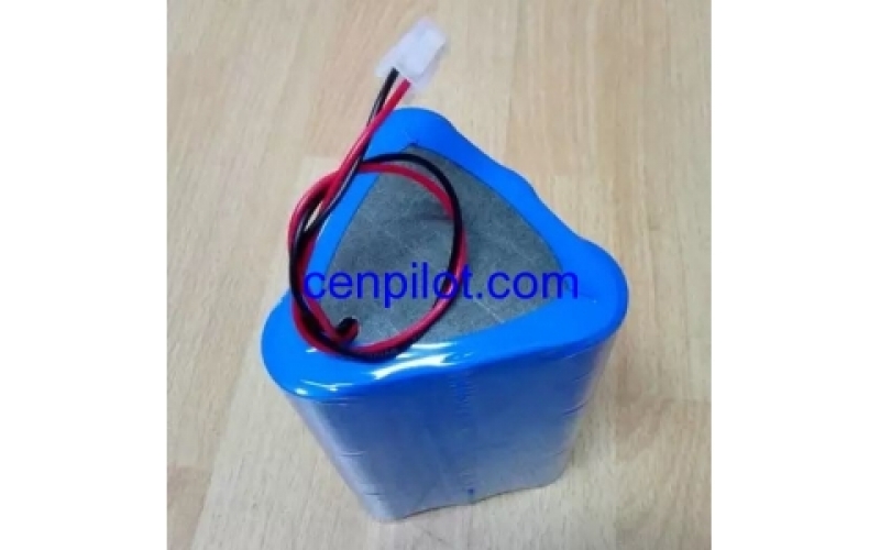 定制各種一次性堿性電池包