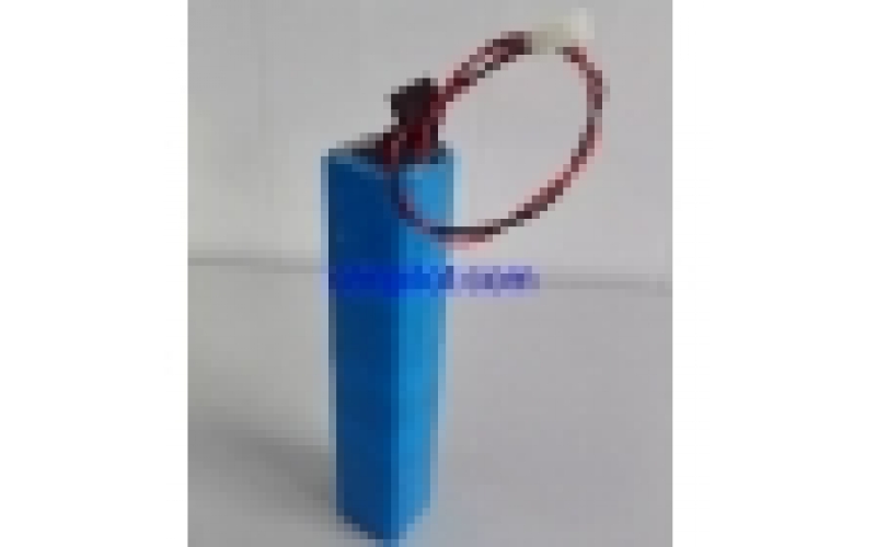 定制各種一次性堿性電池包